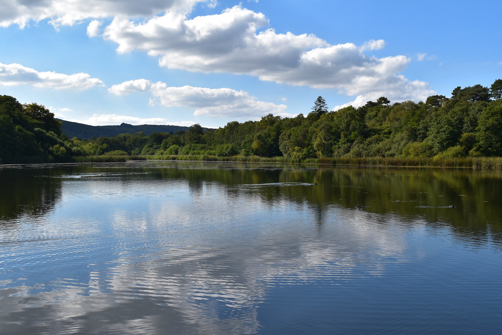 Burton Mill Pond Melissa Warren Flickr