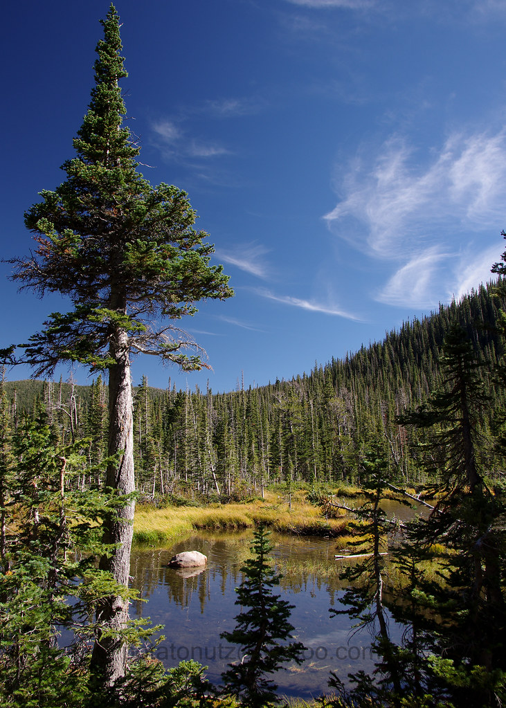 K5II4964 Spruce Lake. Fern Lake & Spruce Lake Hike Rocky M… Flickr
