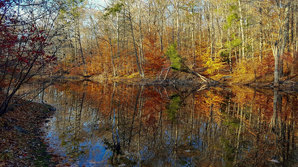 Carlson Pond Hurd State Park, East Hampton, Connecticut keith thom Flickr
