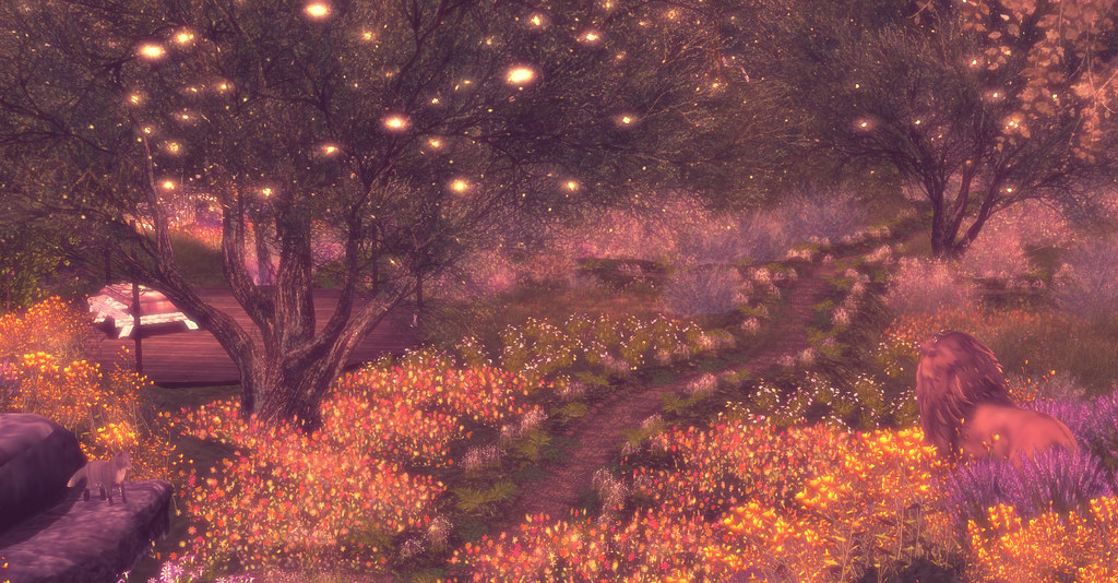 Landscape Designs Flickr