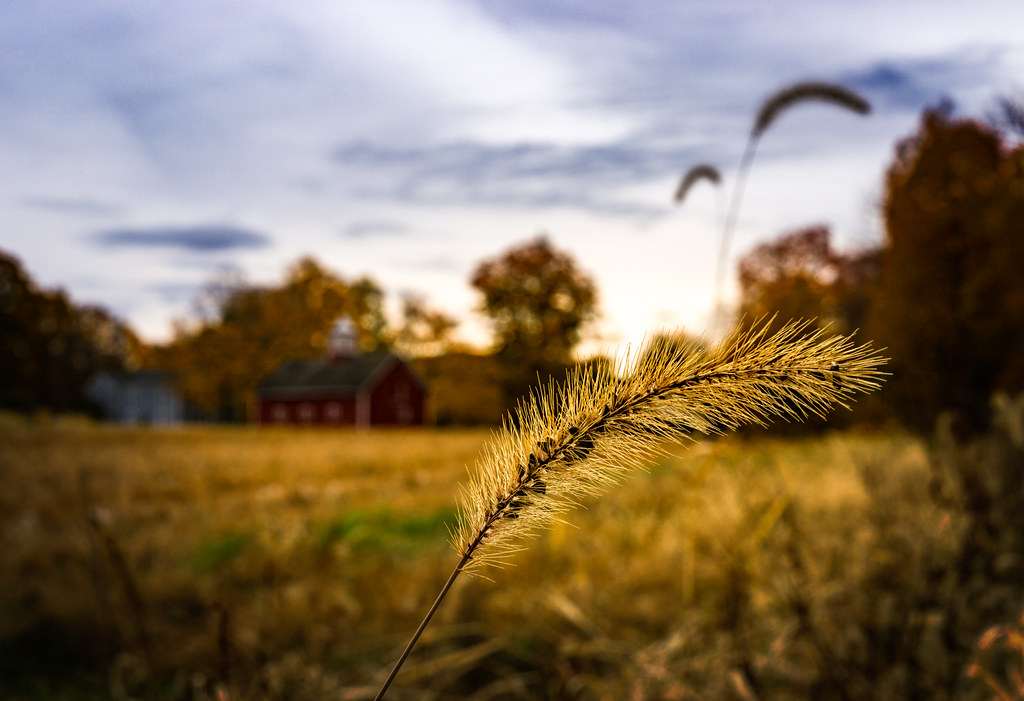Elevation of West Granby, CT, USA Topographic Map Altitude Map