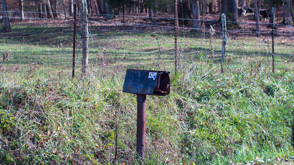 P1270805 Cello? You've Got a Bass! Flickr