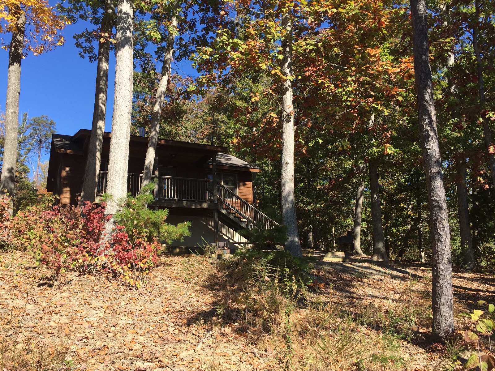 to Cabin 17 at Smith Mountain Lake State Park