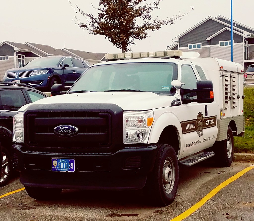 The Best Animal Control West Des Moines 2022