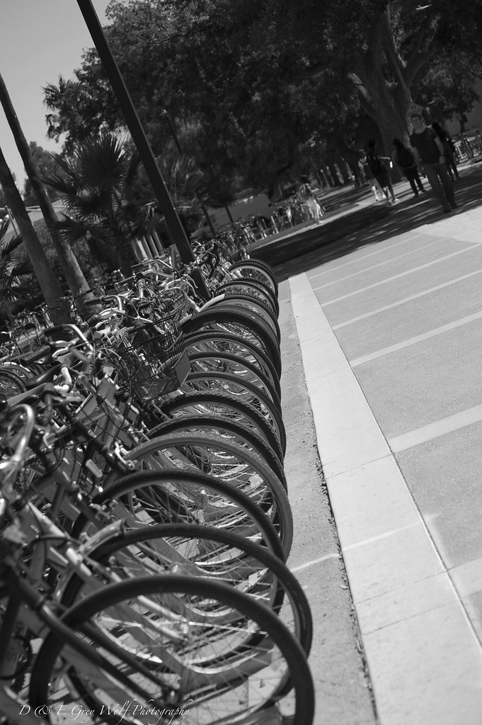 UC Davis Parking Zone Elaine Mikkelstrup Flickr