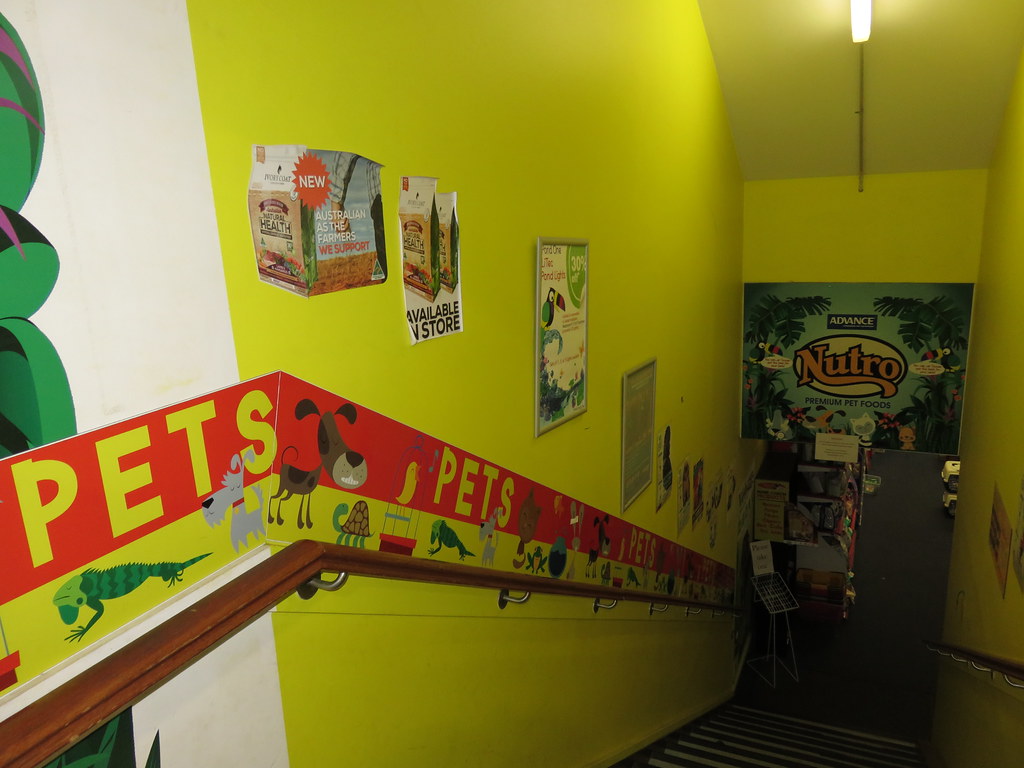 Toucan Pet Centre Relocating A basement store that has bee… Flickr