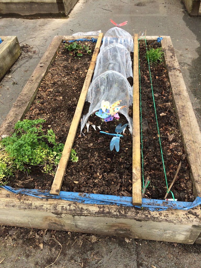 My QVC Garden 2017 First Planting My QVC Garden 2017 Fir… Flickr