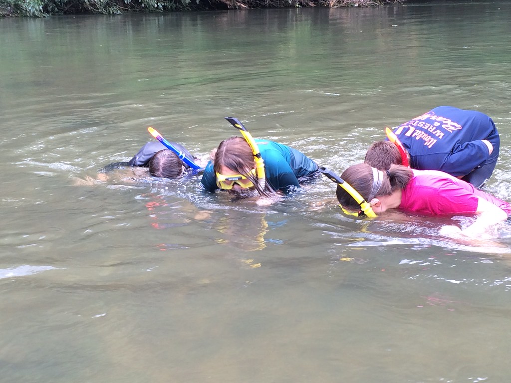 Snorkeling at Natural Tunnel IMW Virginia State Parks Flickr