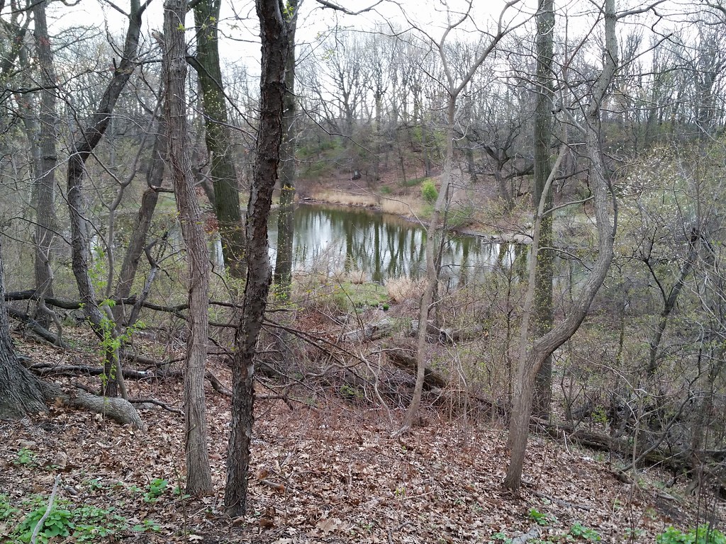 Strack Pond In 1966, this glacial kettle pond* (photos) in… Flickr