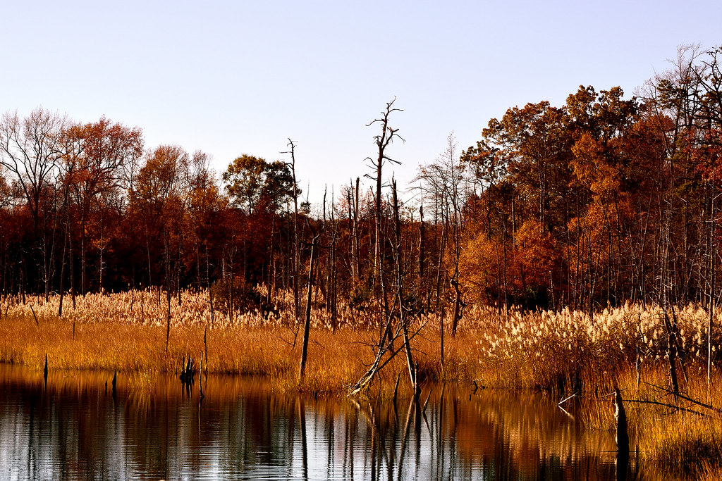 preserve West Creek near Pickle Factory Pond, Paper Mill R… Flickr