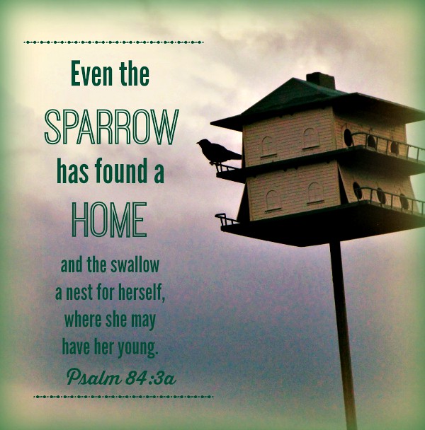 SparrowPsalm843 "Even the sparrow has found a home and t… Flickr
