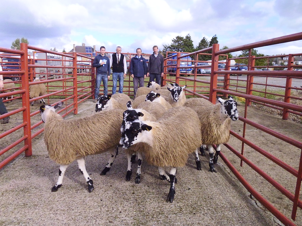 P1010112 Barnard Castle Auction Mart Flickr