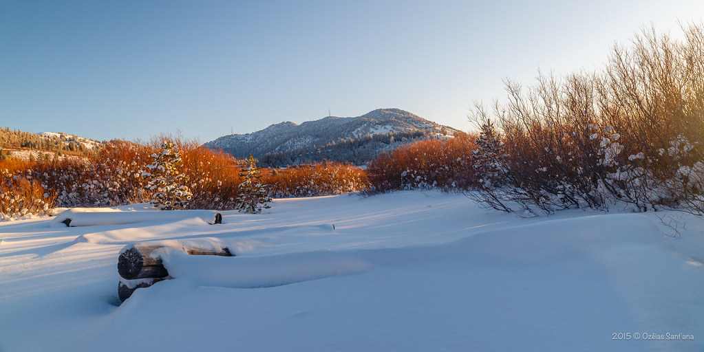 Elevation of Arrowcreek Parkway, Arrowcreek Pkwy, Reno, NV, USA