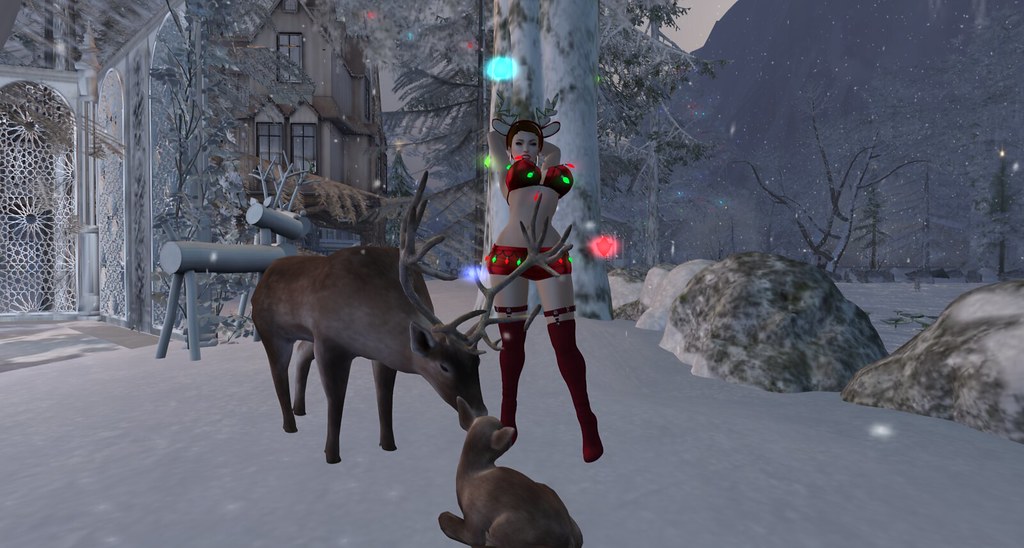 Untitled Visit this location at Driftwood Valley Estates W… Flickr