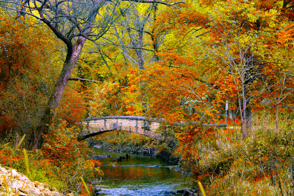 anamosa fall Andrew Grove Flickr