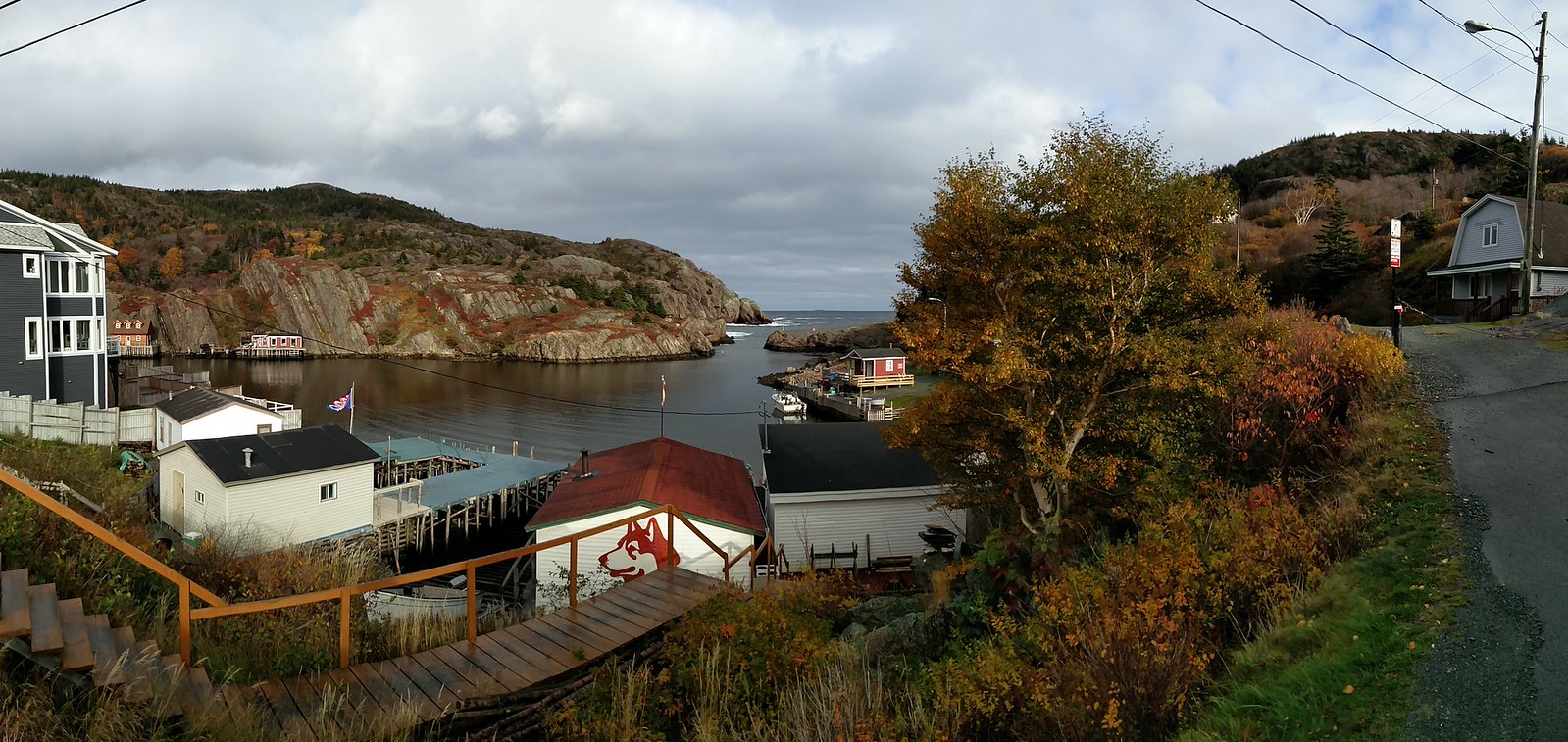 St John's, Newfoundland and Labrador, QUIDI VIDI+PETTY HARBOUR+SIGNAL HILL Flickr