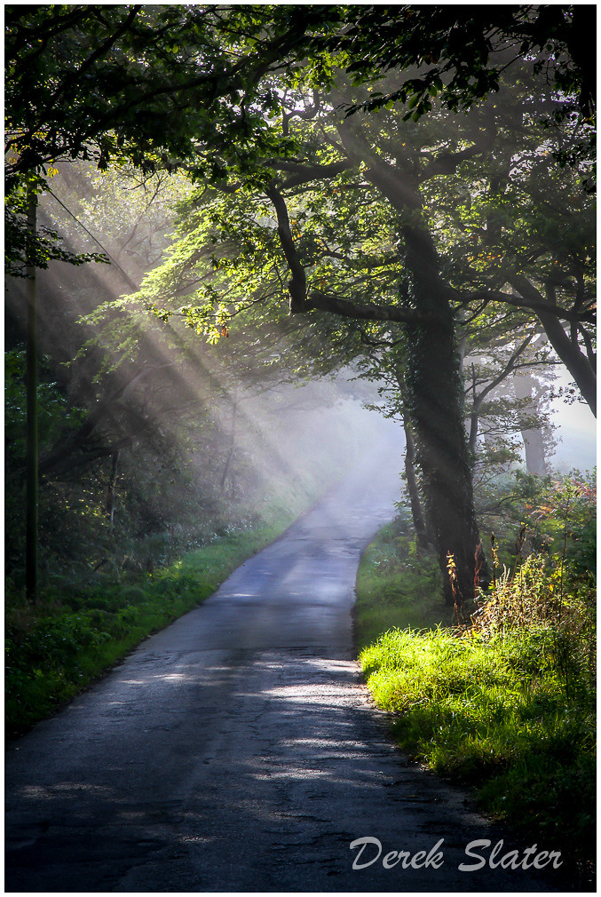 Buckland Filleigh, Devon Derek.S Flickr