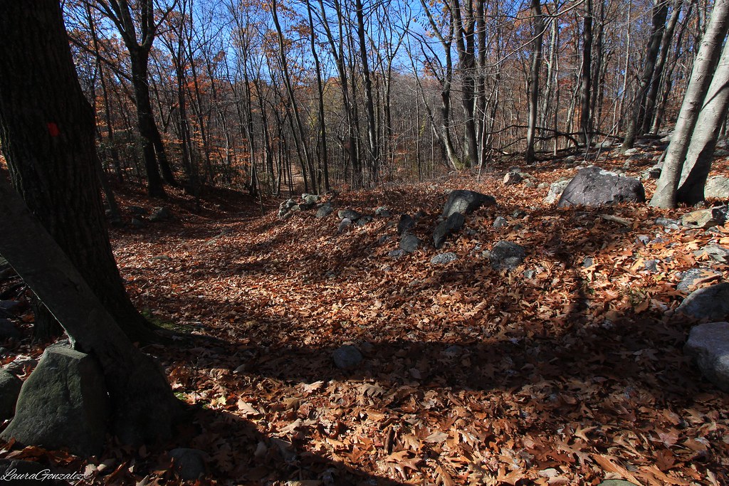 Mount Hope Historical Park Known locally as the Richard Mi… Flickr