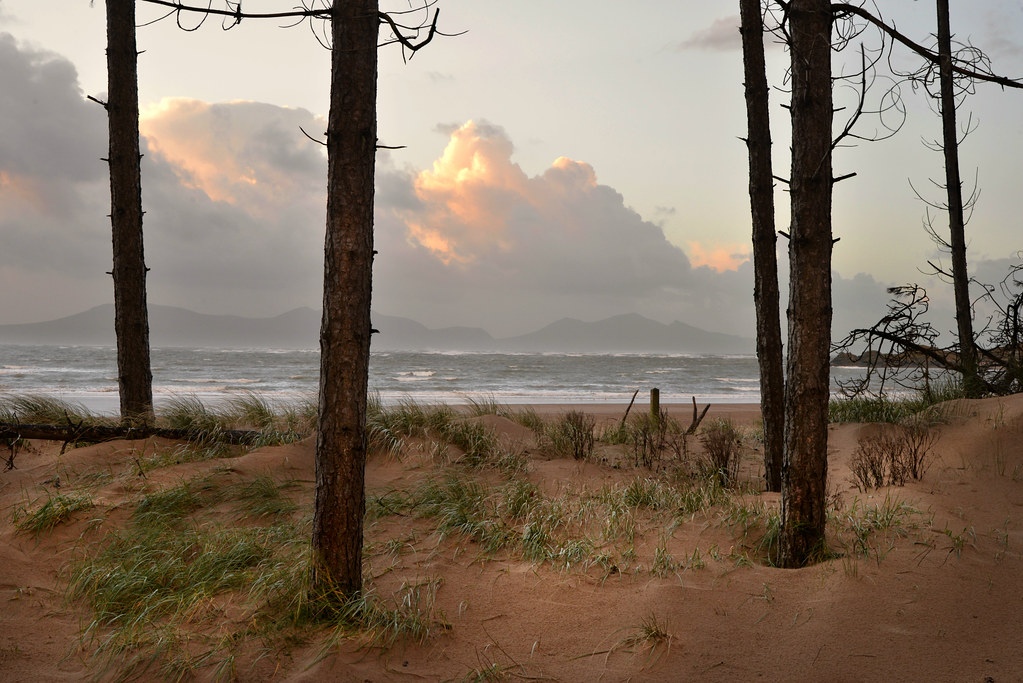 Seaside plot For Sale 500,000 I would if I could. If I wa… Flickr