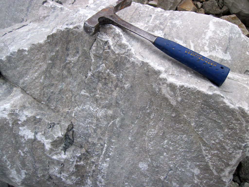 Dolomitic limestone (Laurel Member, Salamonie Dolomite, Mi… Flickr