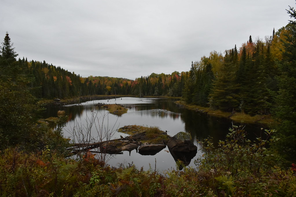 Au Parc National de la Mauricie.Lac Bouchard.1 Antoine 49 Flickr