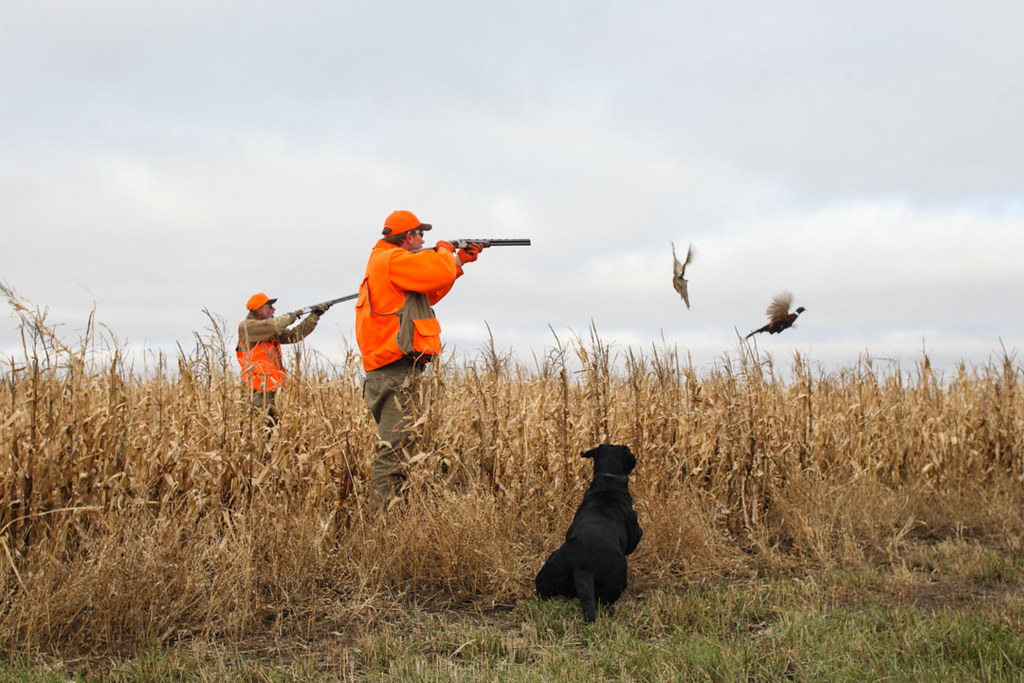 Luxury Pheasant Lodge South Dakota Gettysburg Antlers and Anglers