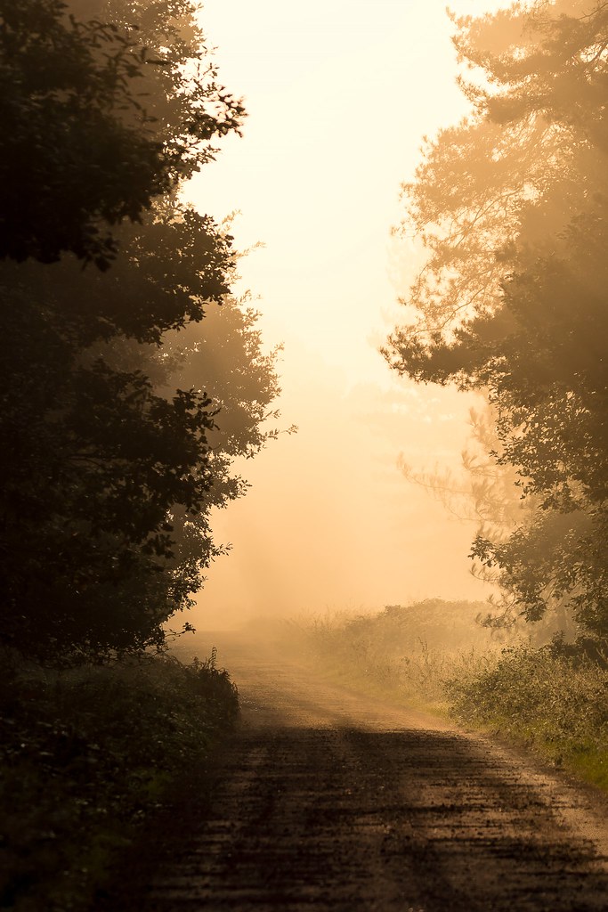 Holywell Row, Bury Saint Edmunds IP28 8NB, UK Sunrise Sunset Times