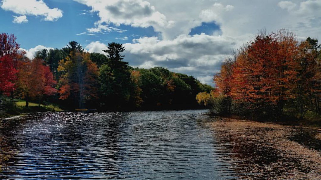 Cooks Brook in Dayton, Maine M. S. McKenzie Flickr