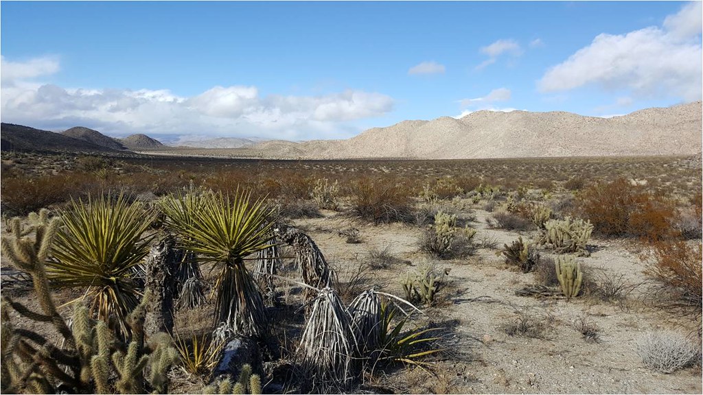 Kumeyaay Village Hidden San Diego Flickr