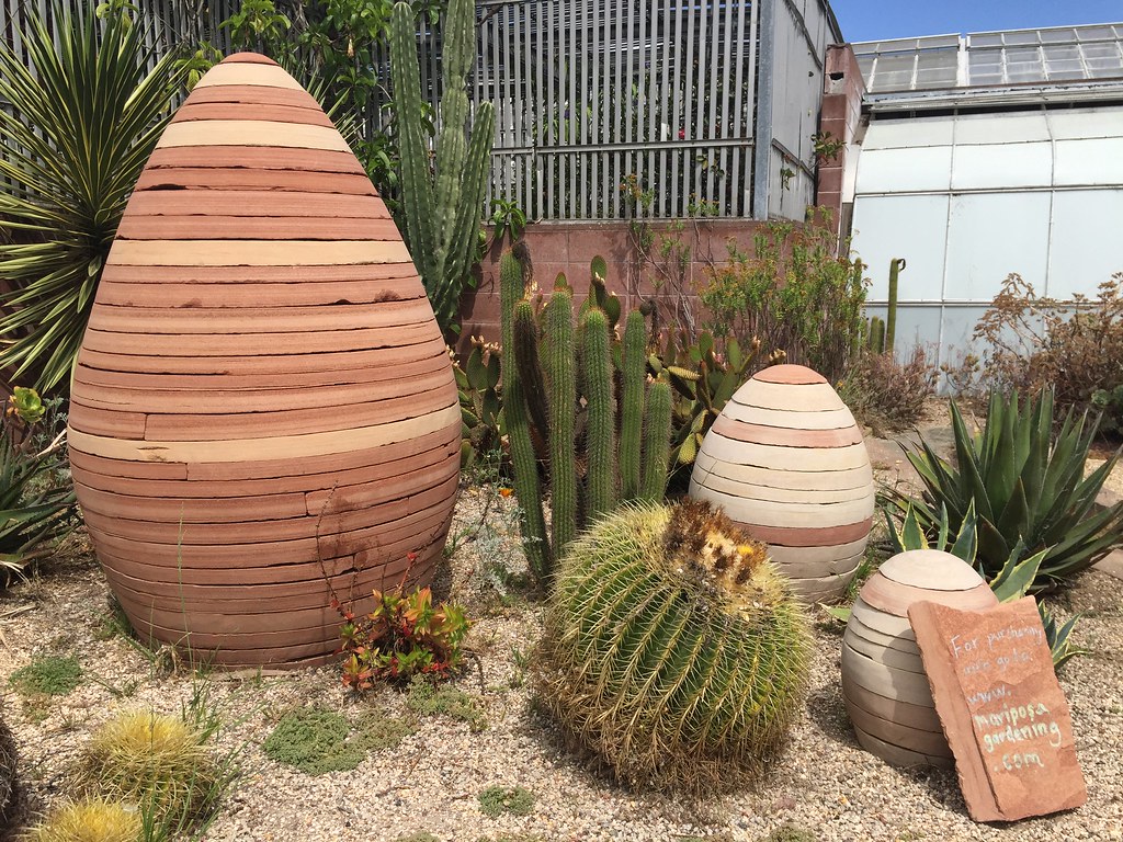Nick's 31st birthday cactus garden at Lake Merritt Garde… Flickr
