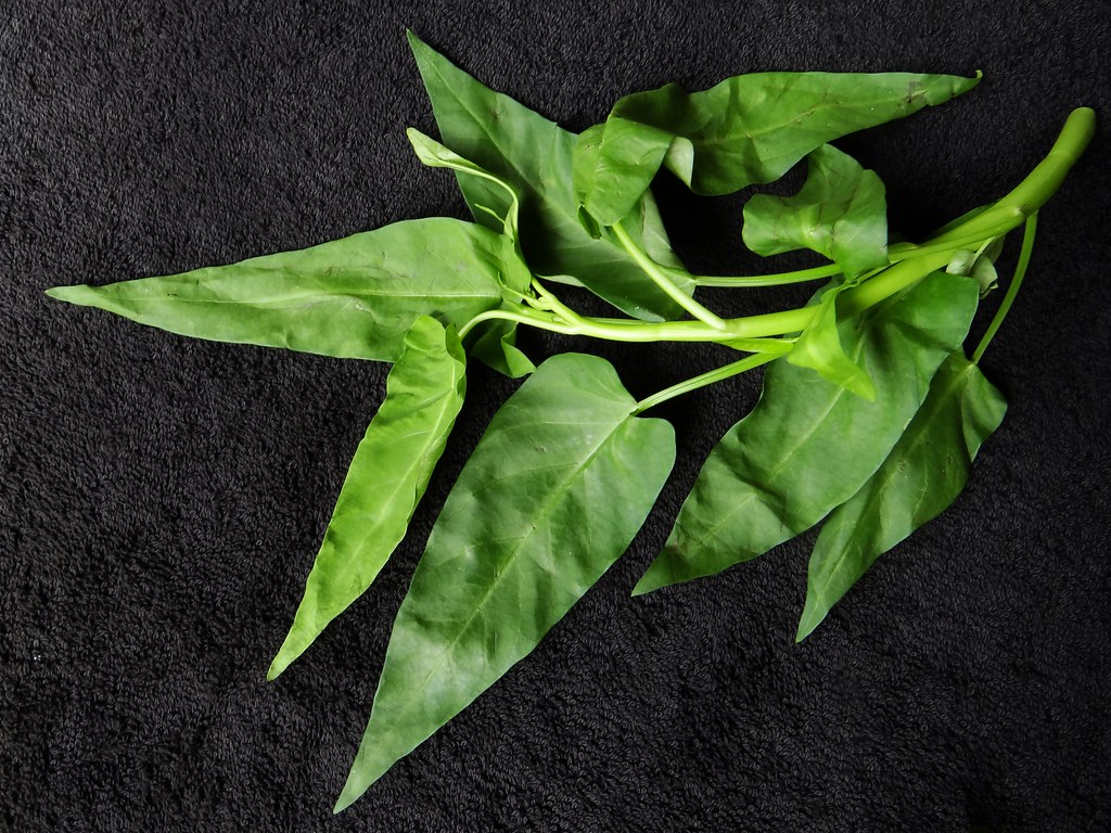 WATER SPINACH (Bangla = কোলমি শাক) … Flickr