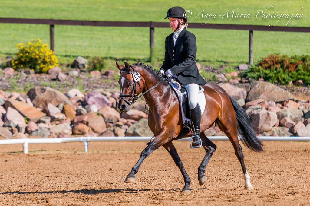 Otter Creek Dressage anyaotterson Flickr