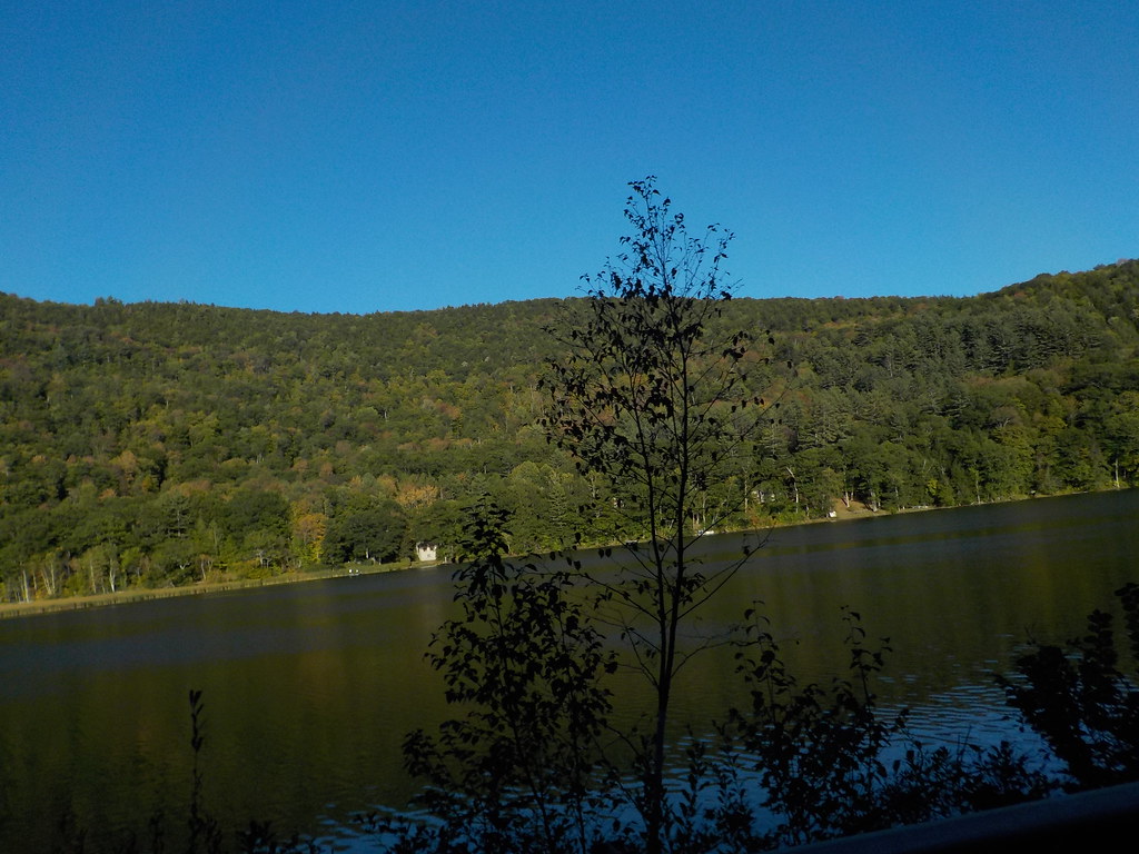 keene swap meet 2015 069 Cindi Flickr