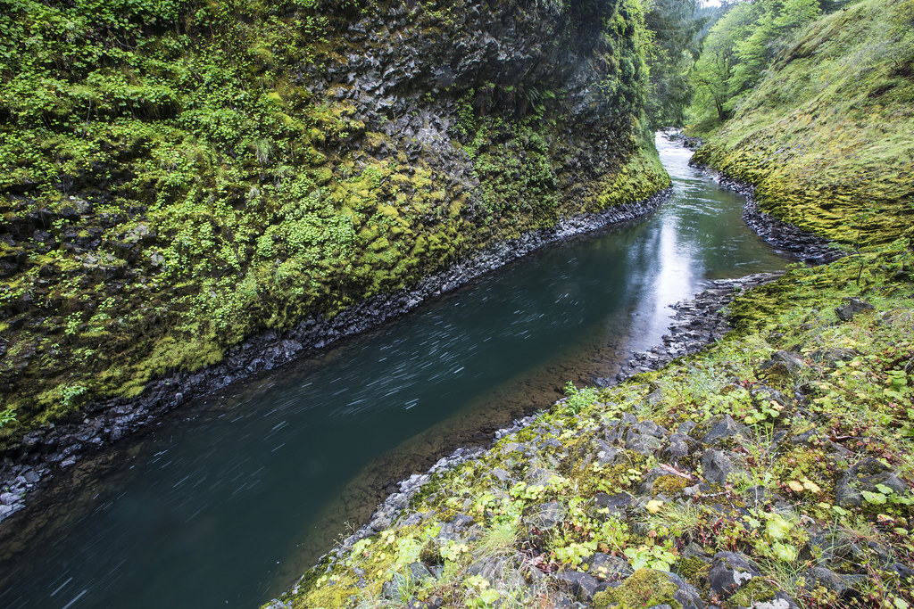 Molalla River Gauge at Leigh er blog