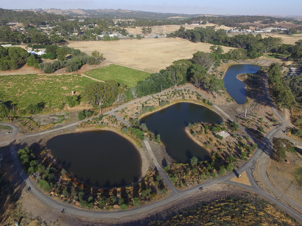 Gleeson Wetlands 20150103_24c Gleeson Wetlands, Clare, Sou… Flickr