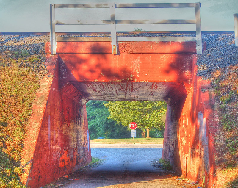 Elevation of John Dodd Rd, Wellford, SC, USA Topographic Map