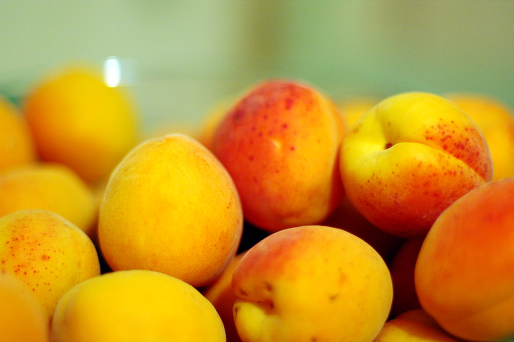 Abricots french apricots for Anzu Guillaume Brialon Flickr