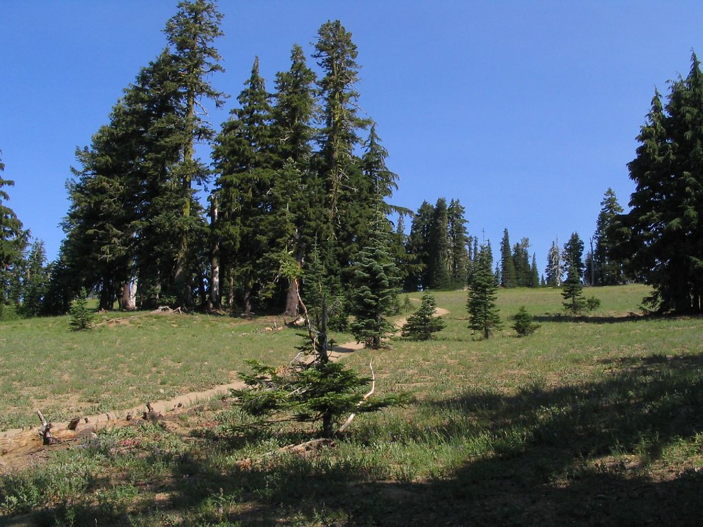 Sun Notch Trail, Crater Lake National Park, Oregon Flickr