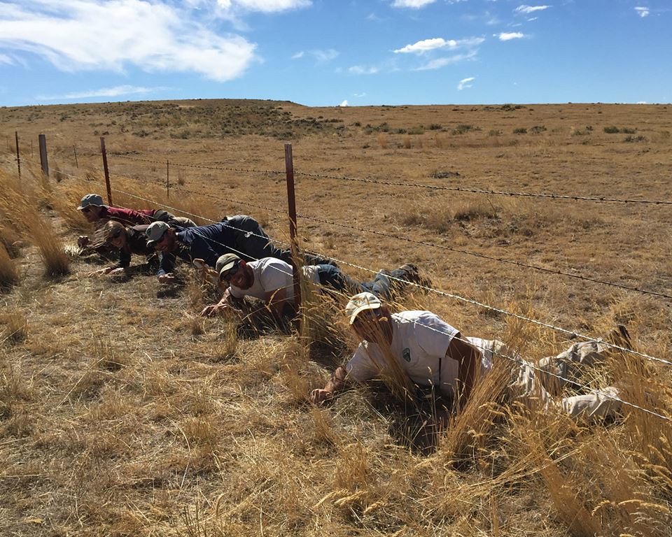 NPLD 2015 BLM Wyoming Help Wildlife The BLM Wyoming Cody … Flickr