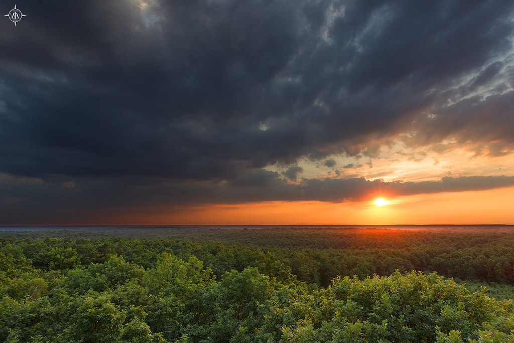 coucher de soleil sur la foret d'orléans johan hubert