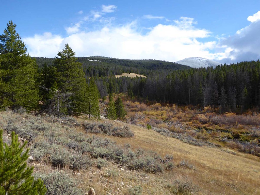 French Gulch, Montana Deer Lodge County. The French Gulch … Flickr