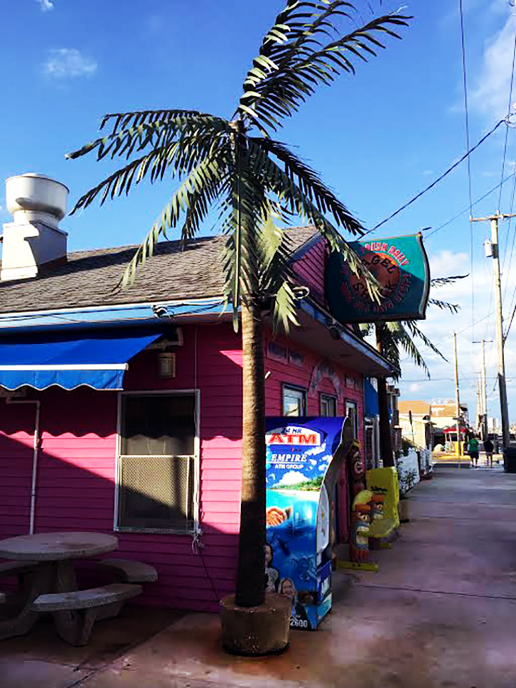 New Jersey Palm Tree Beach Haven, Long Beach Island Jim Griffin