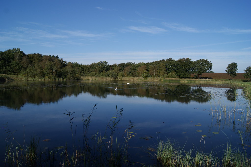 Elevation of 31, Skive, Denmark Topographic Map Altitude Map