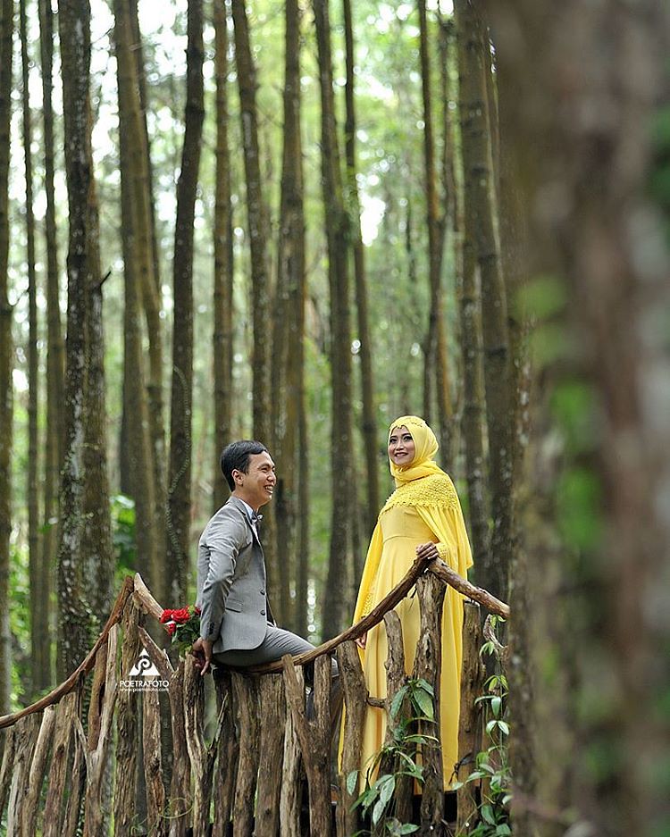 √ Cantik Prewed Outdoor Hutan Pinus Gallery Pre Wedding