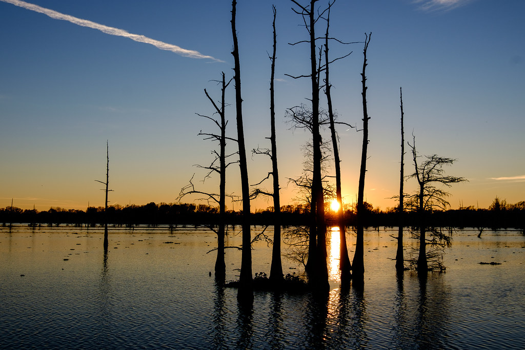 Elevation of Bayou Darbonne Dr, West Monroe, LA, USA Topographic Map
