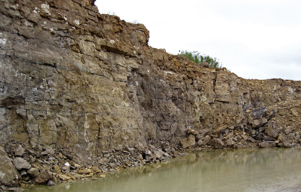 Geneva Dolomite Member of the Jeffersonville Limestone (Lower Devonian) over the Louisville