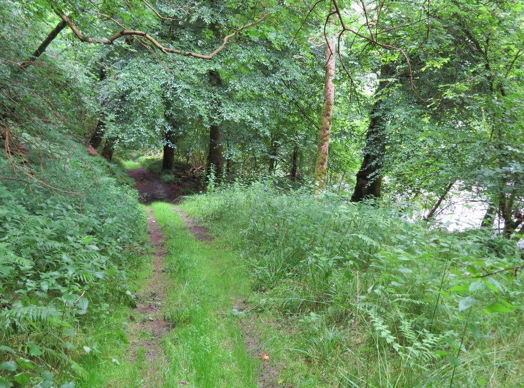 Den of Airlie, Angus 6.8.2015 Steven Falk Flickr