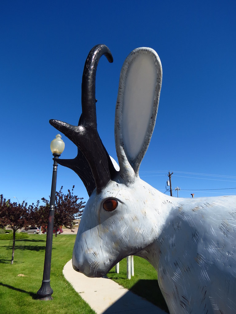 Douglas, WY Jackalopes Thomas Schrantz Flickr