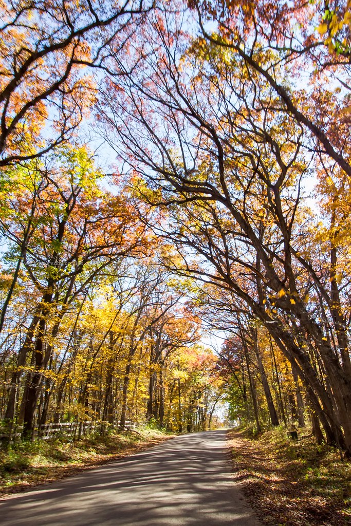Fall Colors Galena Illinois Fall Colors Galena Illinois. C… Flickr