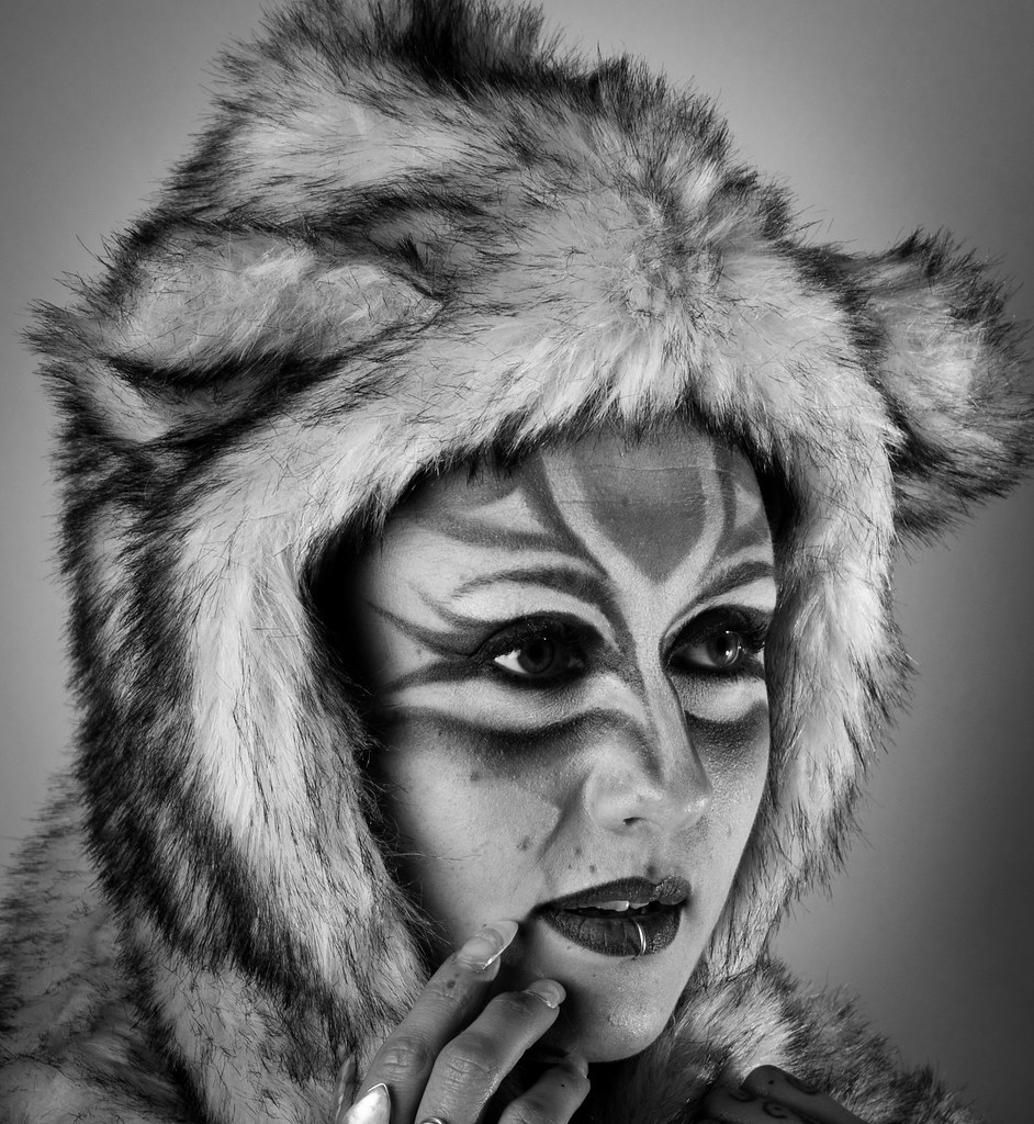 DSC_87992 Paul Harrison Flickr